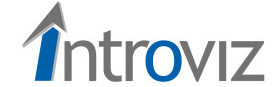 Introviz Logo